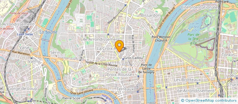 localisation de l'entreprise BUSTE PLAT & RECONSTRUCTION MAMMAIRE  LYON