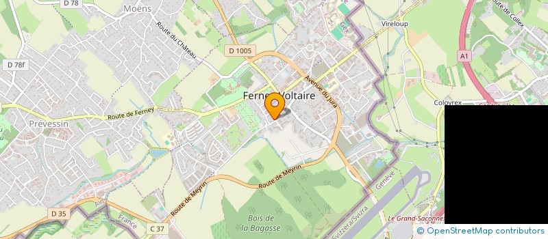 localisation de l'entreprise BUTZER JORGE-COSTA INDIVISION à FERNEY-VOLTAIRE