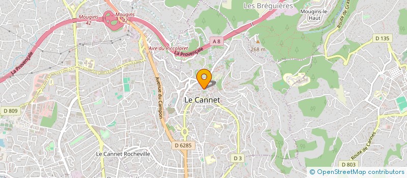 localisation de l'entreprise C 21 à LE CANNET