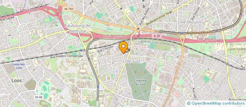 localisation de l'entreprise C-CONSULTING à LILLE