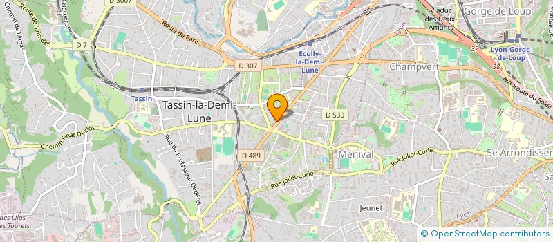 localisation de l'entreprise C.D CONSEIL ET STRATEGIE EN IMMOBILIER à TASSIN-LA-DEMI-LUNE