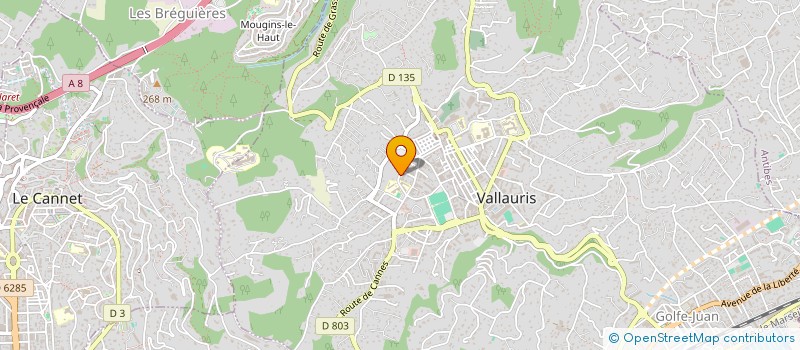 localisation de l'entreprise C.E.B. ELECTRICITE à VALLAURIS