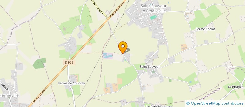 localisation de l'entreprise C'EST LE V  SAINT-SAUVEUR-D'EMALLEVILLE