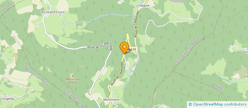 localisation de l'entreprise C PRO FORMATION  SAINT-DIDIER-SUR-BEAUJEU