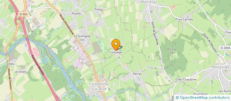 localisation de l'entreprise C T F CHARPENTE TRADITION DU FAUCIGNY  CONTAMINE-SUR-ARVE