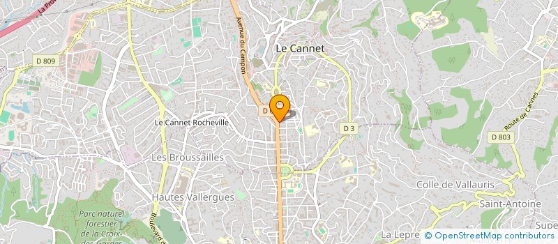 localisation de l'entreprise C T P à LE CANNET