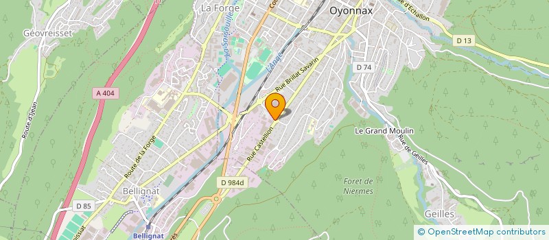localisation de l'entreprise C'TONIC-VEGA  OYONNAX