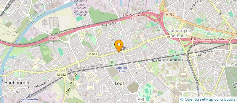 localisation de l'entreprise C35 IMMO  LOOS