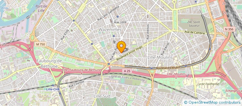 localisation de l'entreprise CA PLEUT DANS MA BOUCHE à LILLE