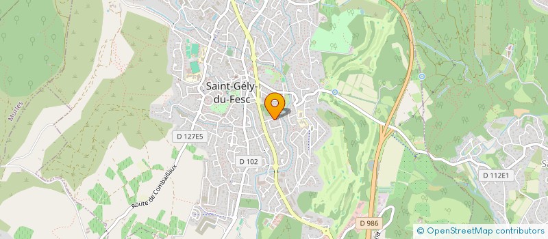 localisation de l'entreprise CABANEL IMMO  SAINT-GELY-DU-FESC