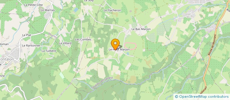 localisation de l'entreprise CABINET ACHIN DIAG EXPERT  SOUCIEU-EN-JARREST