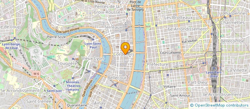 localisation de l'entreprise CABINET ANNE ORSAY  LYON