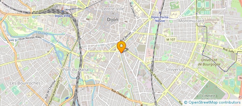 localisation de l'entreprise CABINET CHIRURGICAL DIJON  DIJON