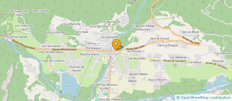 localisation de l'entreprise CABINET CONSEIL ET GESTION à TANINGES