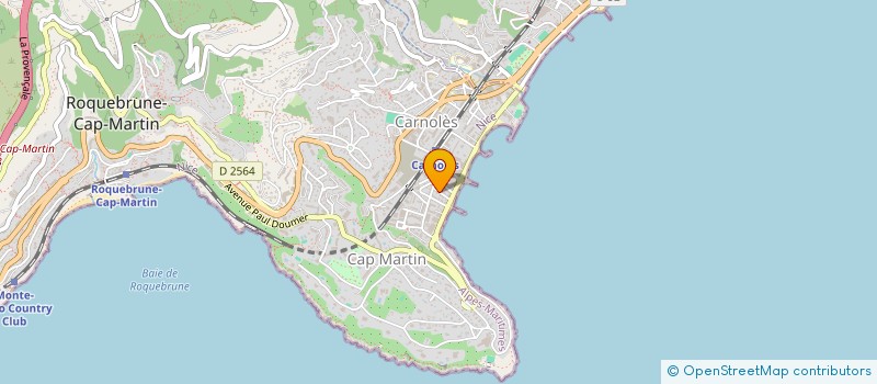 localisation de l'entreprise CABINET DENTAIRE LES PALMIERS à ROQUEBRUNE-CAP-MARTIN