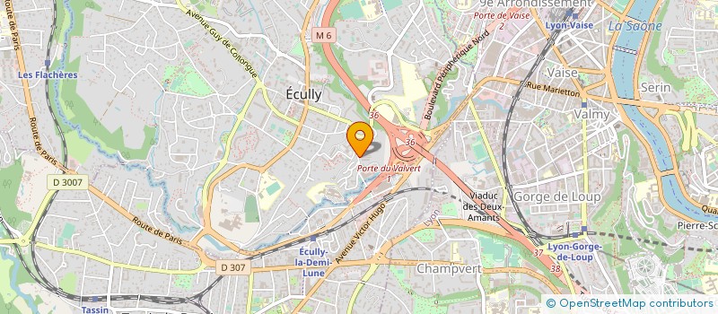 localisation de l'entreprise CABINET DOCTEUR ION HOREA BARSAN  ECULLY