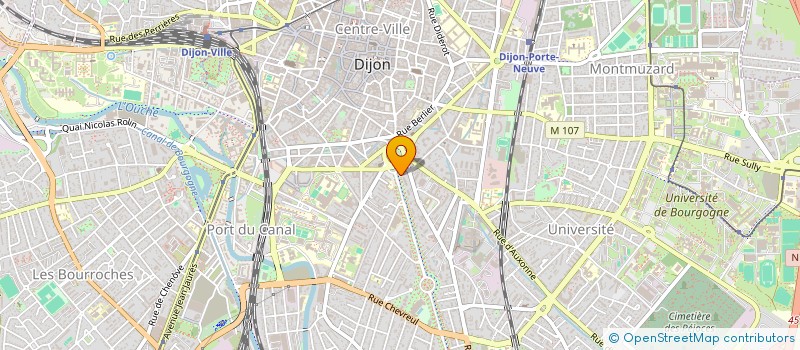 localisation de l'entreprise CABINET DU DOCTEUR MARTIN GONZALVEZ à DIJON
