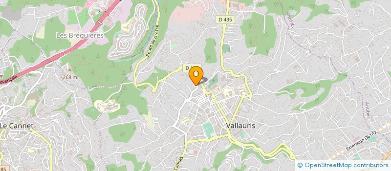 localisation de l'entreprise CABINET EXPERTISE RICCI à VALLAURIS