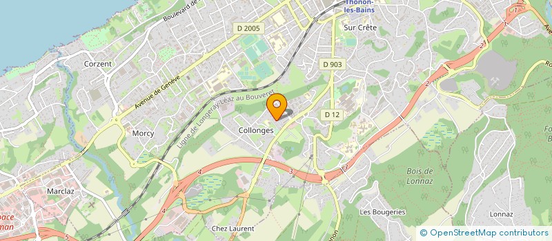 localisation de l'entreprise CABINET GIBSON à THONON-LES-BAINS