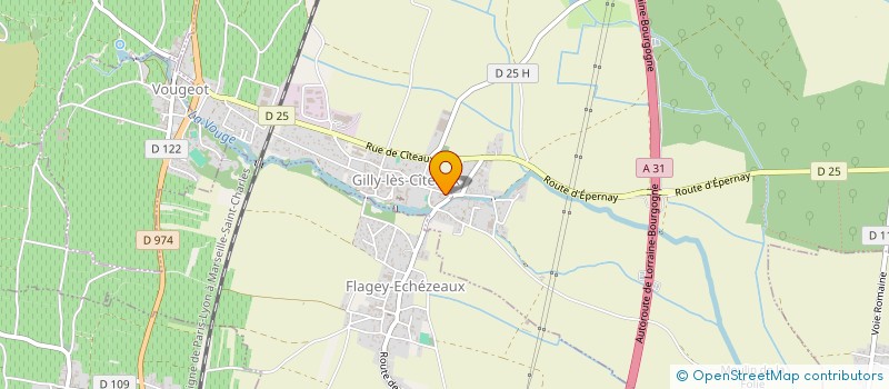 localisation de l'entreprise CABINET INFIRMIER DE LA VOUGE  GILLY-LES-CITEAUX