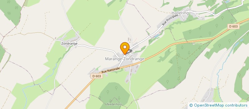 localisation de l'entreprise CABINET INFIRMIER DE MARANGE - ZONDRANGE  MARANGE-ZONDRANGE