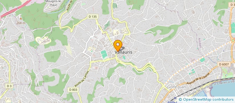 localisation de l'entreprise CABINET LES ENCOURDOULES  VALLAURIS