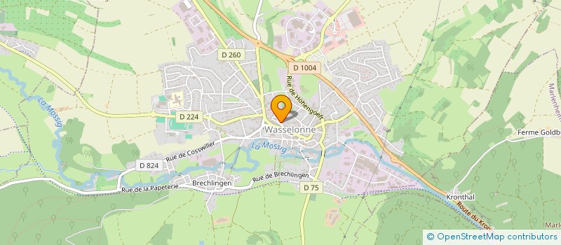 localisation de l'entreprise CABINET MEDICAL DE LA COUR DU CHATEAU à WASSELONNE