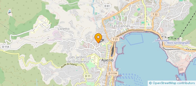 localisation de l'entreprise CABINET MEDICAL DES PALMIERS  AJACCIO