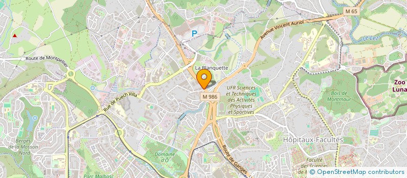 localisation de l'entreprise CABINET MENON & ASSOCIES à MONTPELLIER