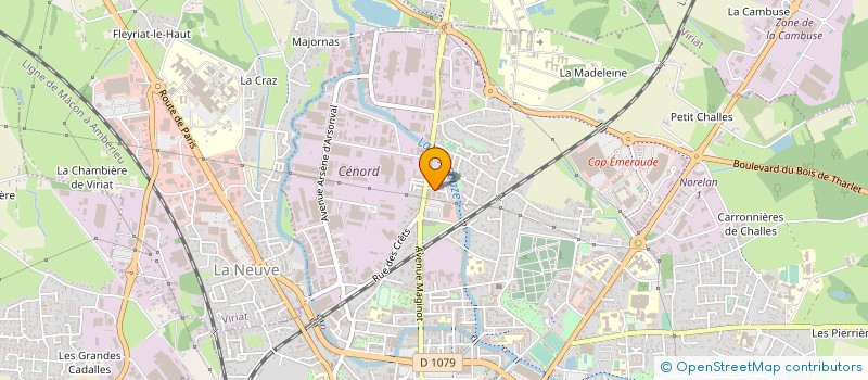 localisation de l'entreprise CABINET RHONE ALPES CONSULTANT  BOURG-EN-BRESSE