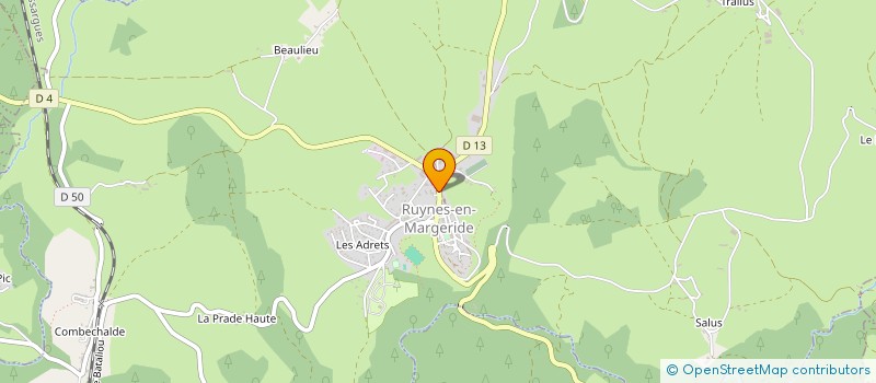localisation de l'entreprise CABINET ROBERT SEBASTIEN à RUYNES-EN-MARGERIDE