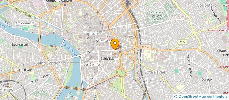 localisation de l'entreprise CABINET TRICOIRE  TOULOUSE