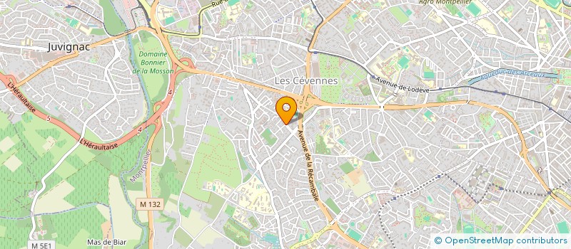 localisation de l'entreprise CACAO CONSULTANT ET CIE  MONTPELLIER