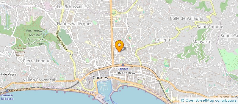 localisation de l'entreprise CACTUS RESIDENCE CANNES  CANNES