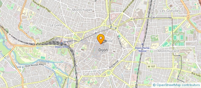 localisation de l'entreprise CADRES SINGULIERS à DIJON