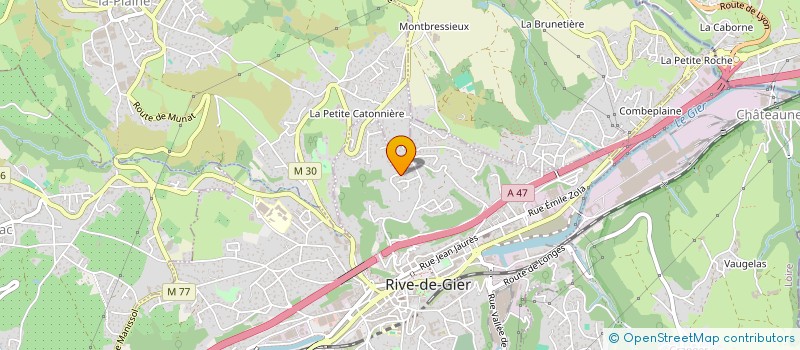 localisation de l'entreprise CAETANO TP TRANSPORTS ET SERVICES à RIVE-DE-GIER
