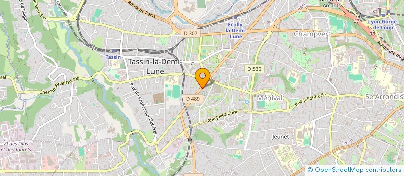 localisation de l'entreprise CAFE DE L'ARTISTE  TASSIN-LA-DEMI-LUNE