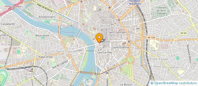 localisation de l'entreprise CAFE LES CANAILLES à TOULOUSE