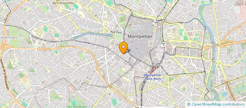 localisation de l'entreprise CAFE MAMOUNIA à MONTPELLIER