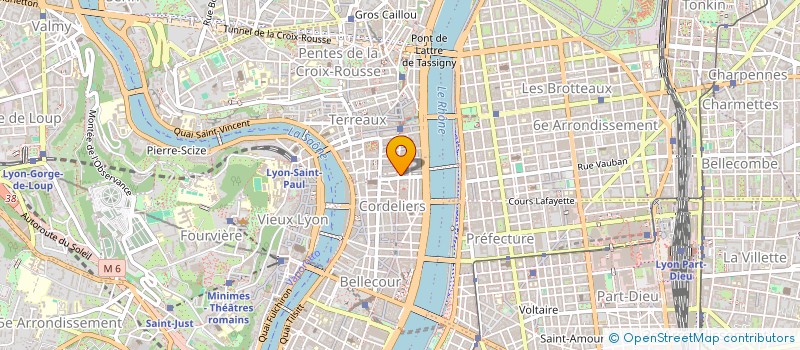 localisation de l'entreprise CAGS CENT ASSIST GEST SERVICES à LYON