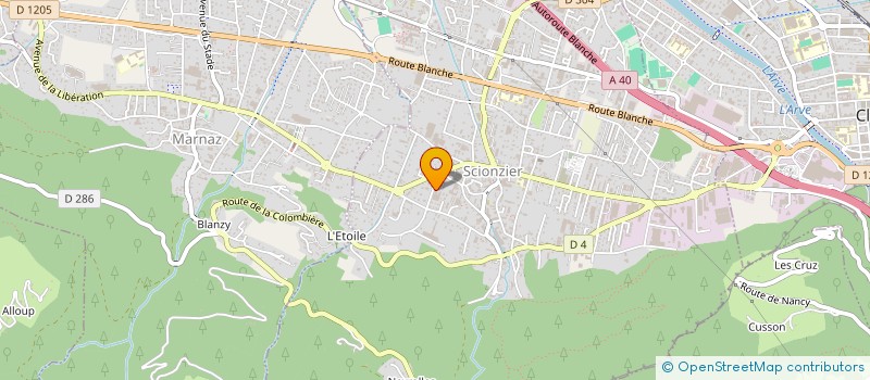 localisation de l'entreprise CAI CUTTING ALPES INDUSTRIES  SCIONZIER