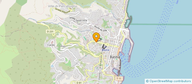 localisation de l'entreprise CAISSE D'ALLOCATIONS FAMILIALES HAUTE CORSE à BASTIA