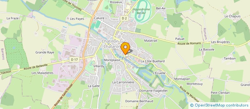 localisation de l'entreprise CAISSE LOCALE CREDIT AGRICOLE CHATILLON  CHATILLON-SUR-CHALARONNE