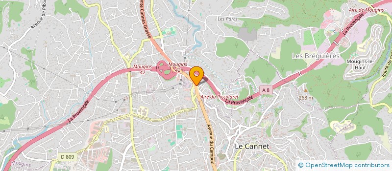 localisation de l'entreprise CALIFORNIA  MOUGINS