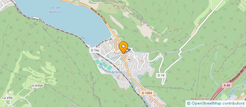 localisation de l'entreprise CALL SHOP MULTIMEDIA & SERVICES NANTUA à NANTUA