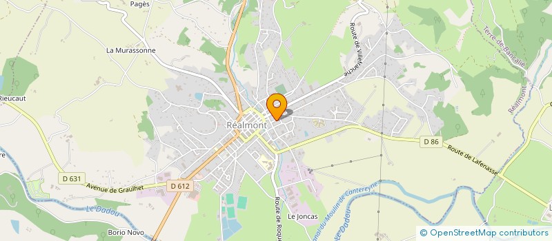 localisation de l'entreprise CALMES & CO  REALMONT