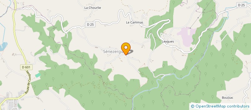localisation de l'entreprise CALVINET-PATRIMOINE ' ASSOCIATION POUR LA SAUVEGARDE DE NOTRE PATRIMOINE ' à PUYCAPEL