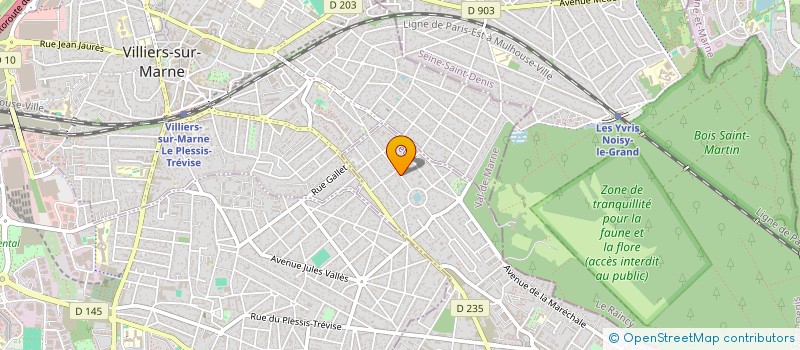 localisation de l'entreprise CALYPSO-E  LE PLESSIS-TREVISE