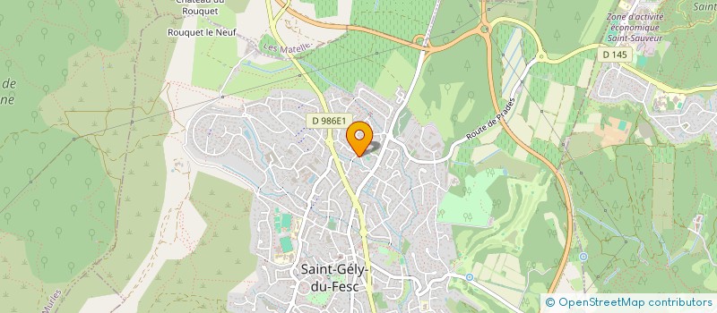 localisation de l'entreprise CAM HOLDING  SAINT-GELY-DU-FESC