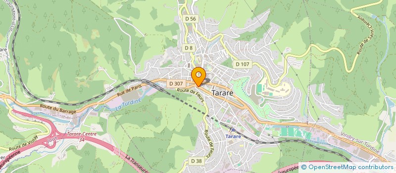 localisation de l'entreprise CAMARIM à TARARE